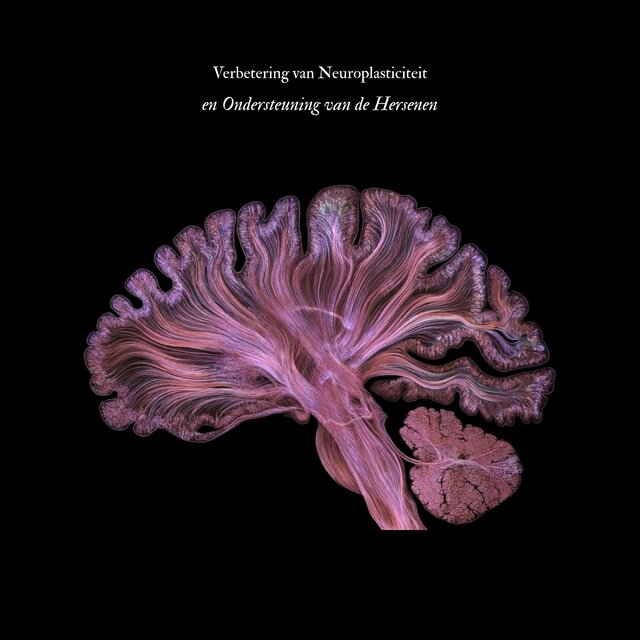Verbetering van Neuroplasticiteit en Ondersteuning van de Hersenen
