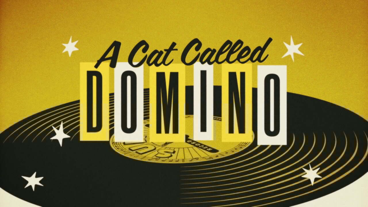 A Cat Called Domino