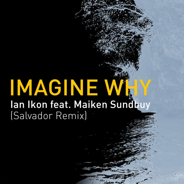 Imagine Why (Salvador Remix)