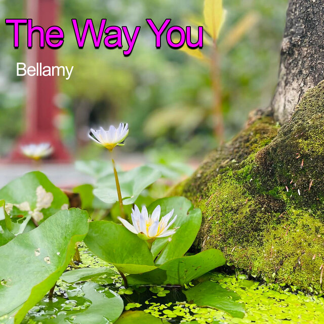 The Way You