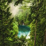 Lost in a Dream