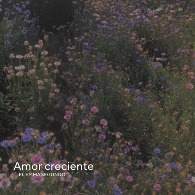 Amor Creciente