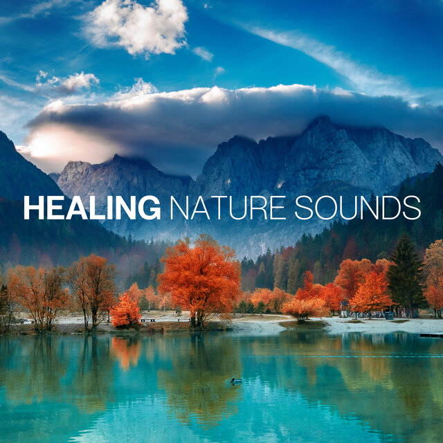 Healing Nature Sounds: Natural Sounds to Soothe Your Mind