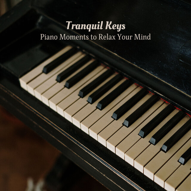 Tranquil Keys: Piano Moments to Relax Your Mind