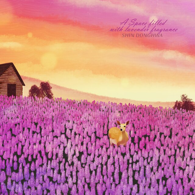 A Space Filled With Lavender Fragrance