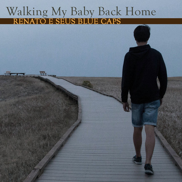 Walking My Baby Back Home