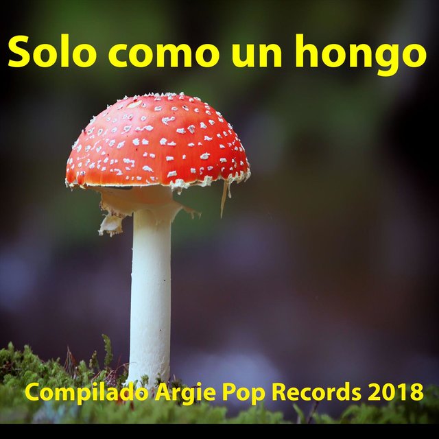 Solo Como Un Hongo