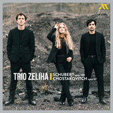 Piano Trio No. 2 in E-Flat Major, Op. 100, D. 929: III. Scherzo