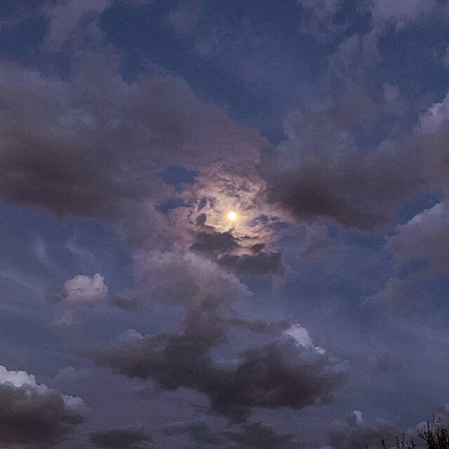 Lucid Dreames