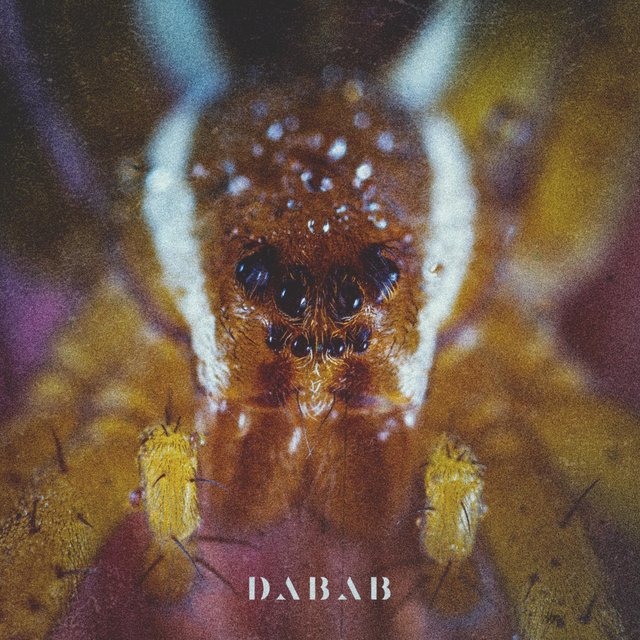 Dabab