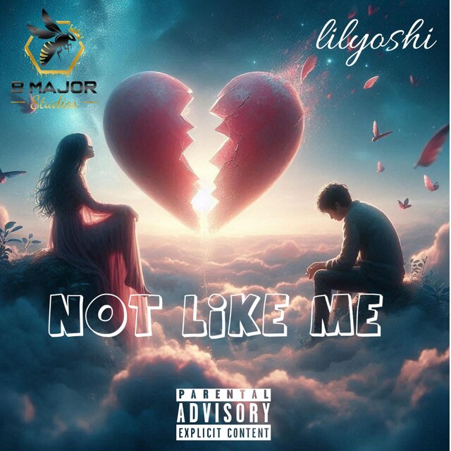 Not Like Me