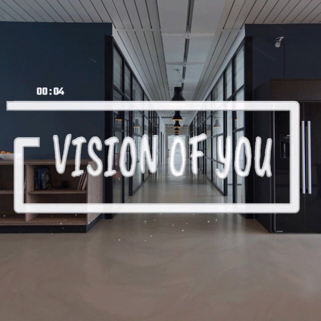 VISION OF YOU