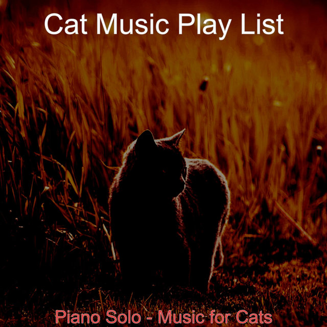 Piano Solo - Music for Cats