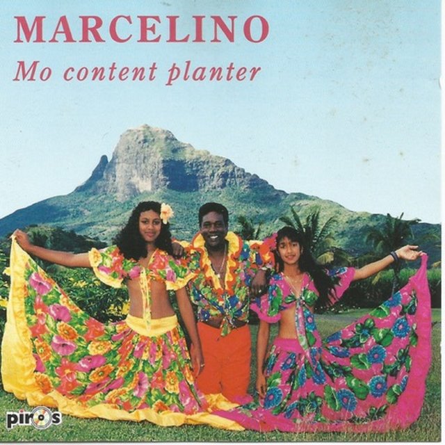 Mo Content Planter