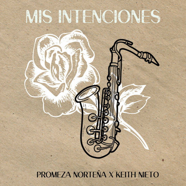 Mis Intenciones