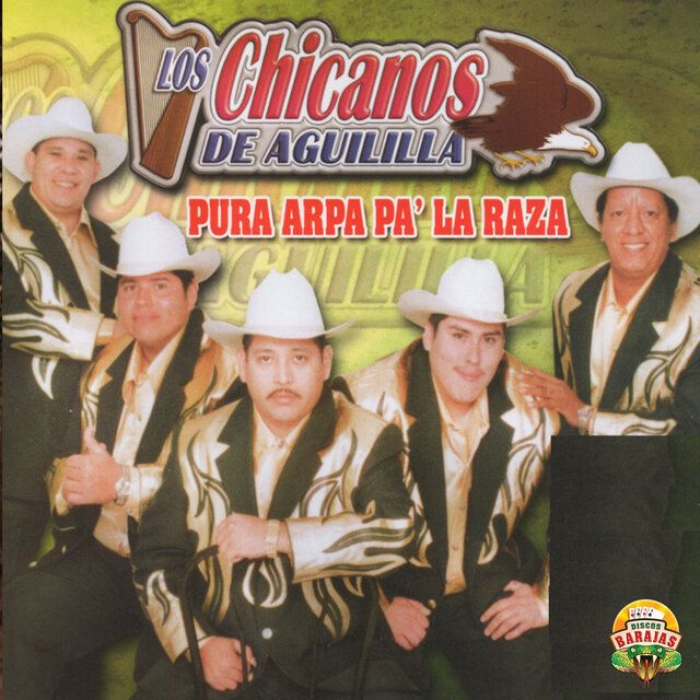 Pura Arpa Pa' La Raza