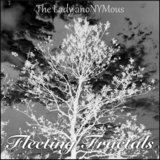 Fleeting Fractals