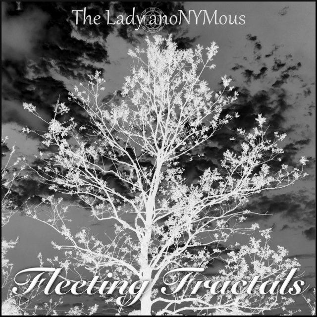 Fleeting Fractals