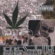Cover art for album South Sider Smoke Out by Various Artists