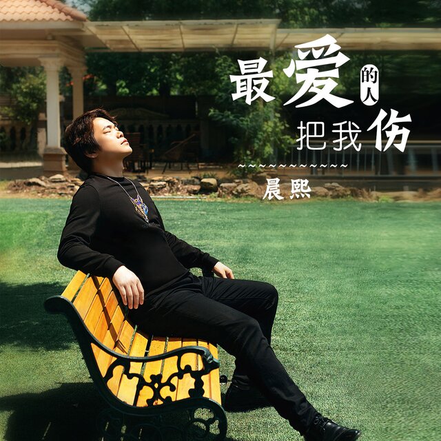 最爱的人把我伤
