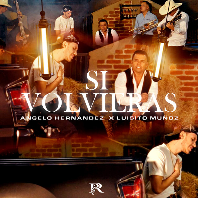 SI VOLVIERAS