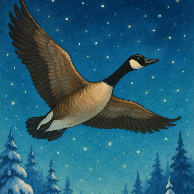 The Canada Goose Flies Over the Snowy Forest