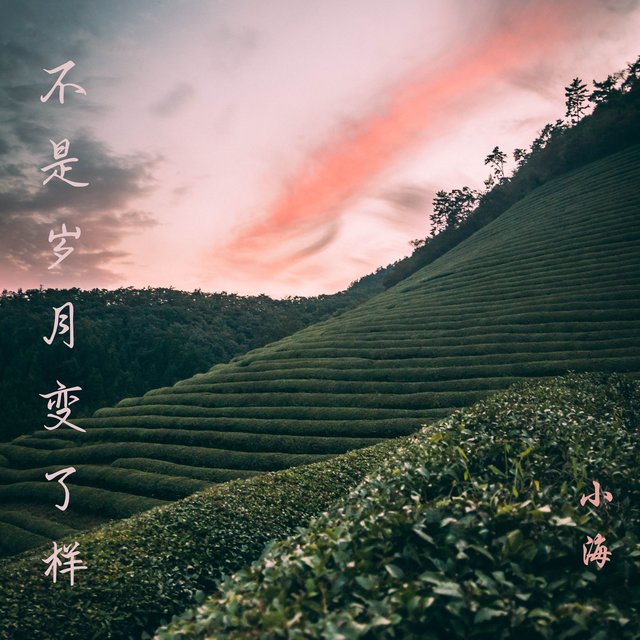 不是岁月变了样