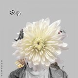 Shape Up (feat. Wel.C)