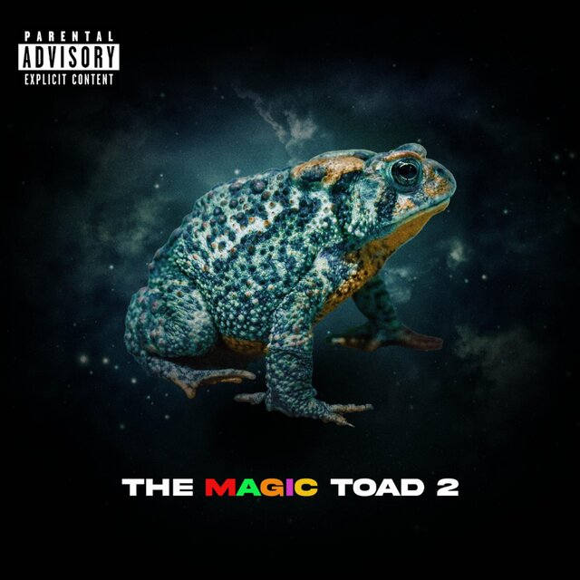 The Magic Toad 2