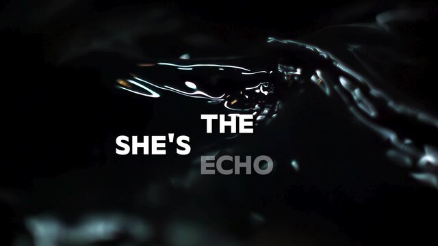 She's The Echo (Lyric Video)