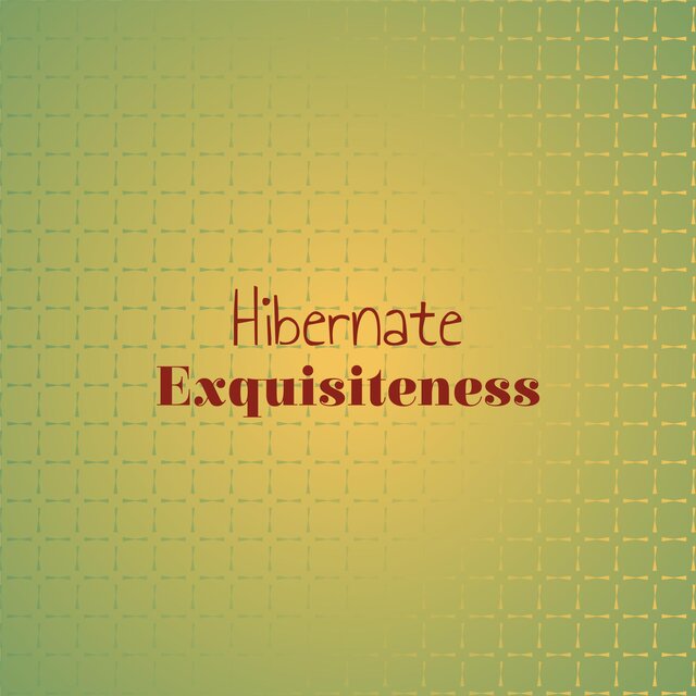 Hibernate Exquisiteness
