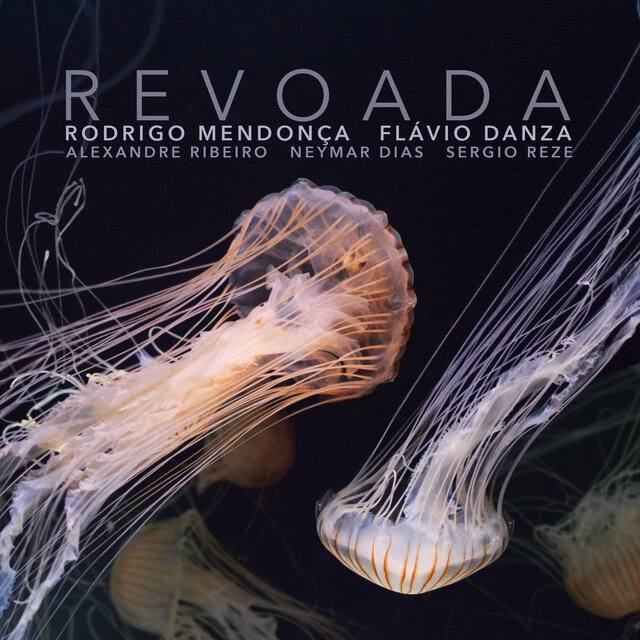 Revoada