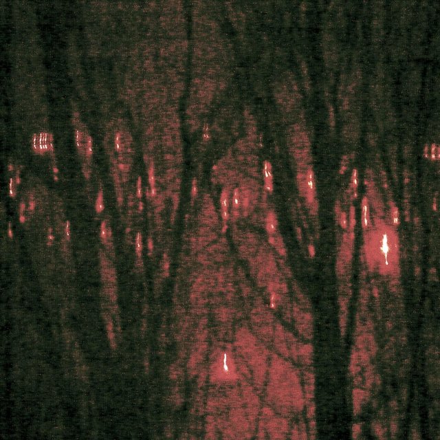 woodbones