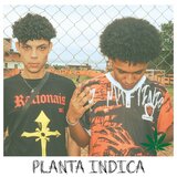 Planta indica
