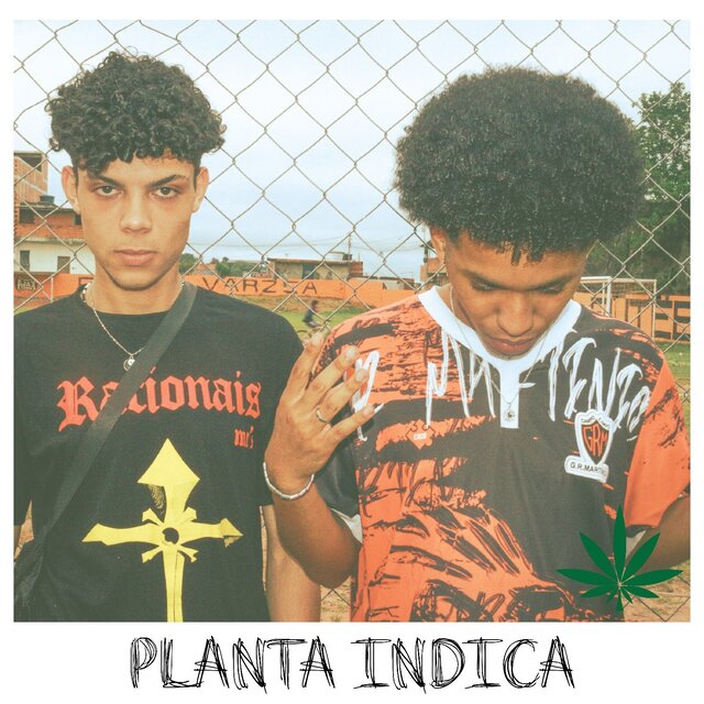 Planta indica