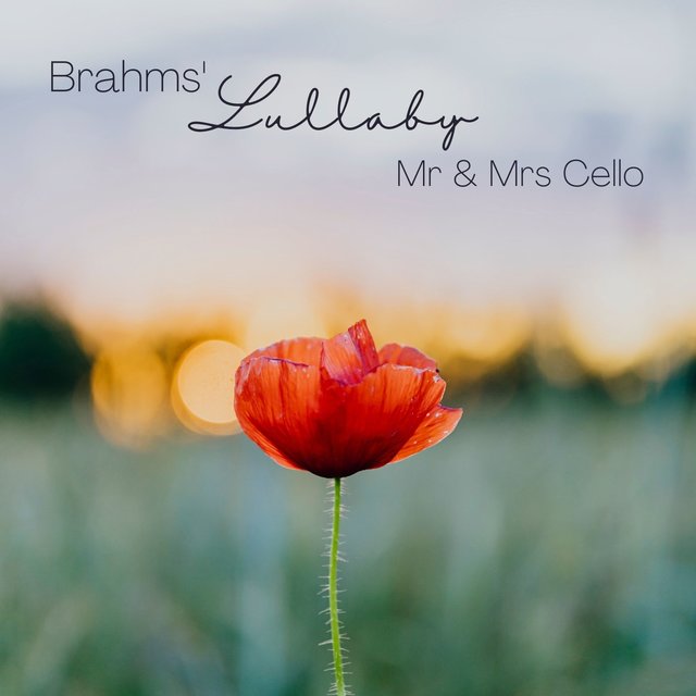 5 Lieder, Op. 49: No. 4, Wiegenlied. Zart bewegt 