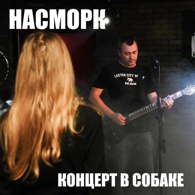 Концерт в Собаке (Live)