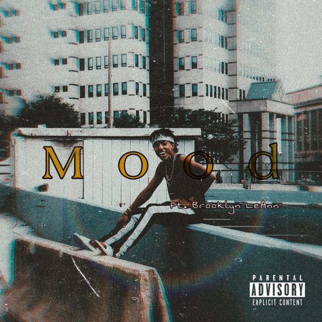 Mood (feat. Brooklyn LeAnn)