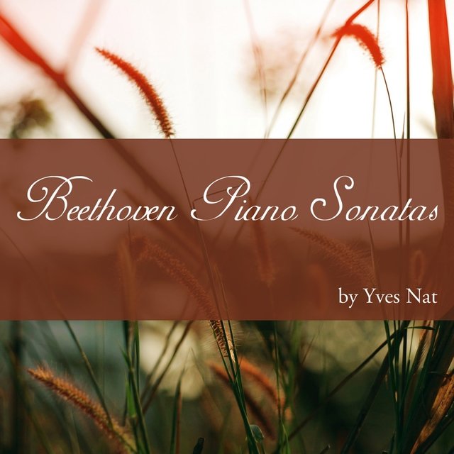Beethoven: Piano Sonatas