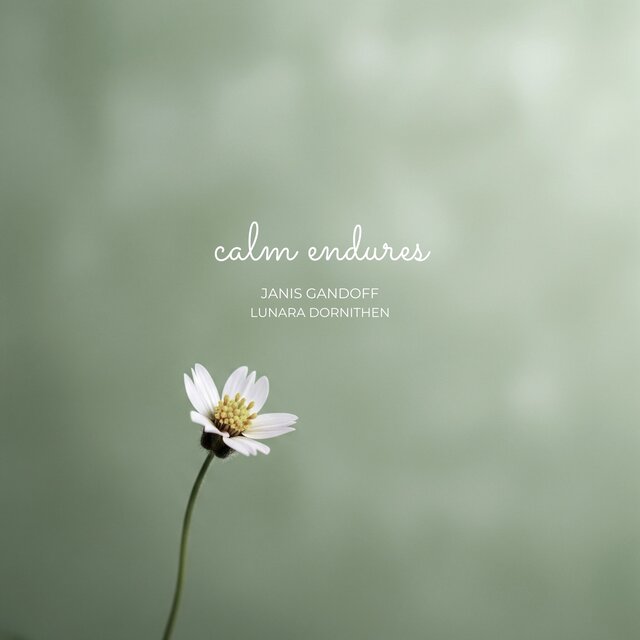 Calm Endures