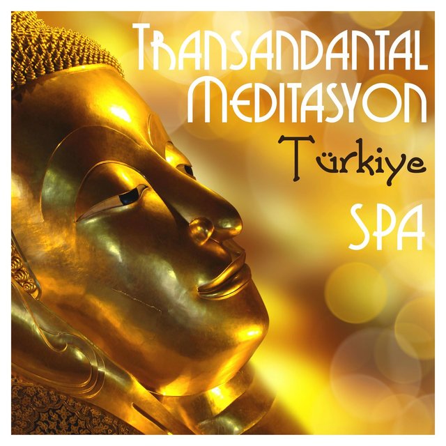 Transandantal Meditasyon Türkiye Spa: Reiki ve Yoga Müzikleri ile Doğanın Sesleri, Uyku Müzikleri