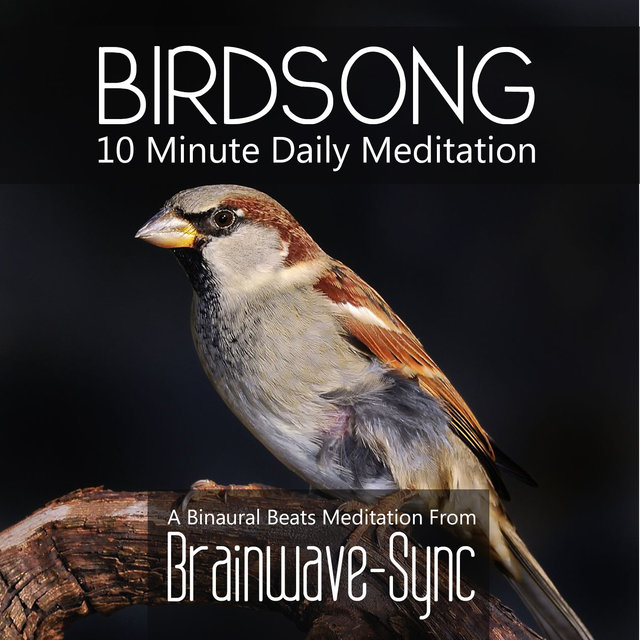 Birdsong - A 10 Minute Daily Meditation