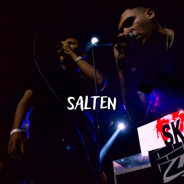 SALTEN