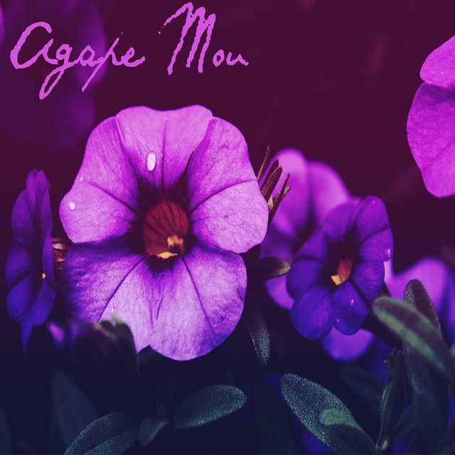 Agape Mou