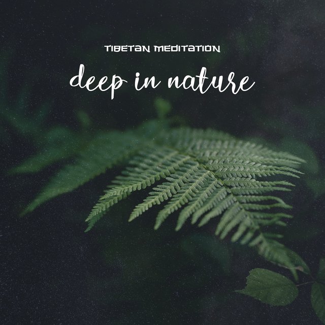 Deep in Nature