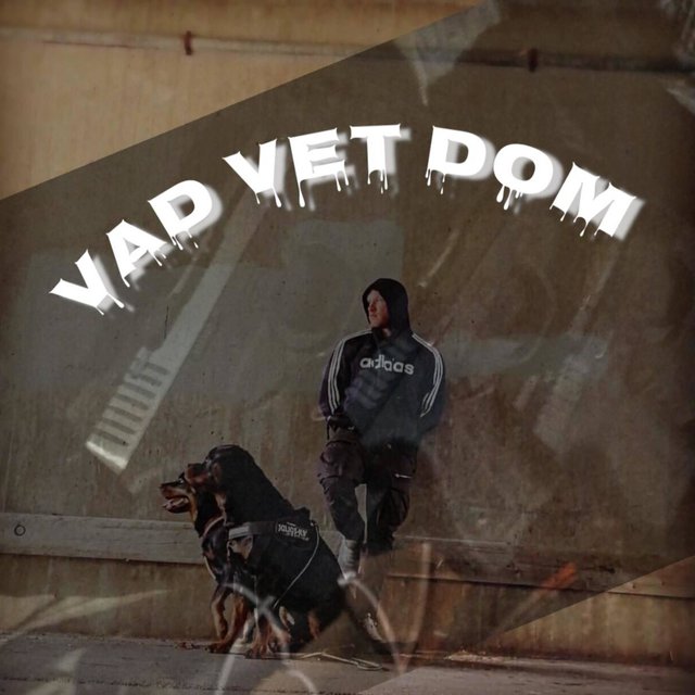 Vad vet dom