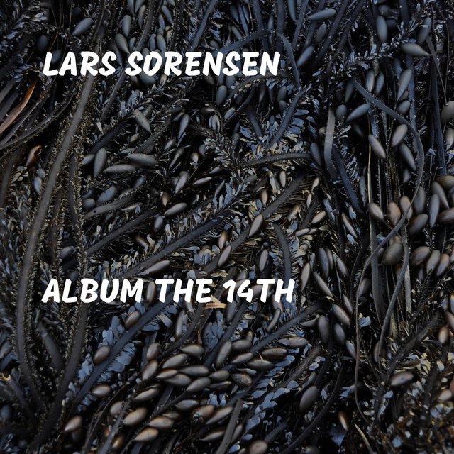 Album the 14th