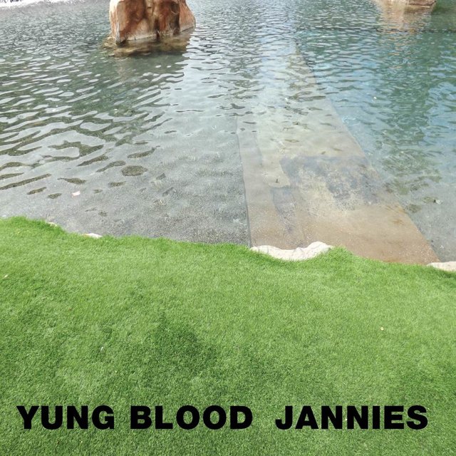 Jannies
