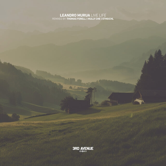 Live Life (Streichl Remix)