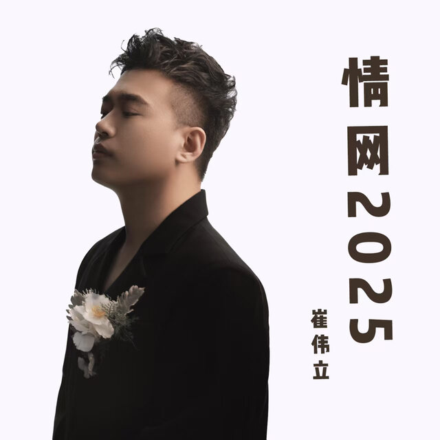情网2025 (DJ默涵版)